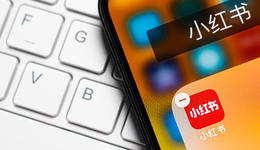 一夜之间，遍地都是“小红书”
