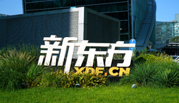 近300亿的考研市场，新东方靠大模型能吃下多少？