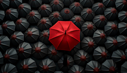 玻璃基板，“明日”紅花