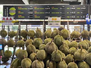 专骗中国人的马来西亚榴莲投资骗局，究竟是怎么回事？