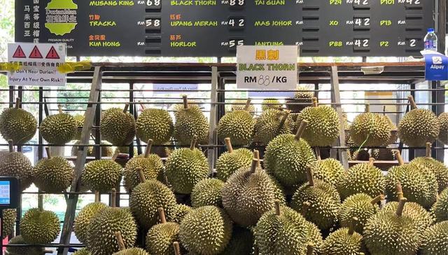 专骗中国人的马来西亚榴莲投资骗局，究竟是怎么回事？