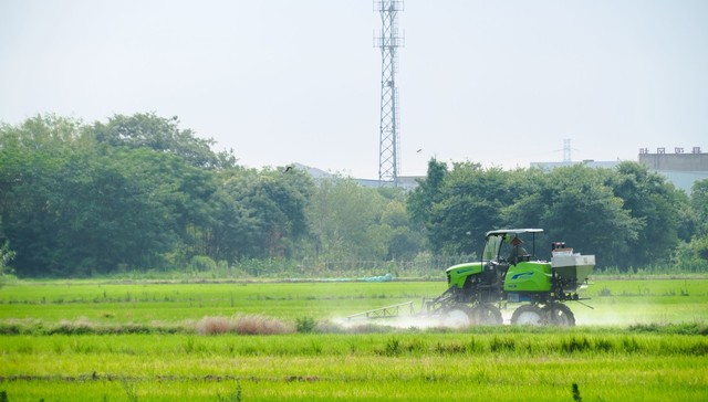 南京前首富,杨寿海,迎来,国资救星,红太阳复牌