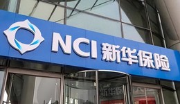 炒股买楼，新华保险投资“凶猛”