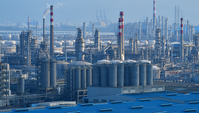 惠州,石化,招商