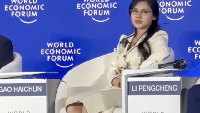 90后任光伏巨头天合光能新“掌门人”，董事长之女高海纯当选联席董事长