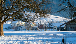 “冰雪大世界”爆火：排隊(duì)7小時(shí)，門票炒至上萬