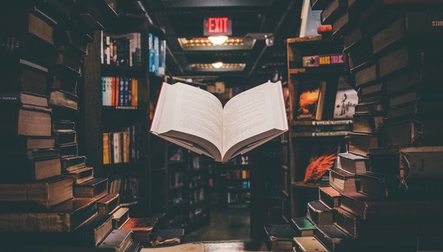 2025年，这些新书值得我们期待（下）