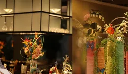 利潤(rùn)連年下滑，預(yù)制菜業(yè)務(wù)虧損，金陵飯店撤店離場(chǎng)