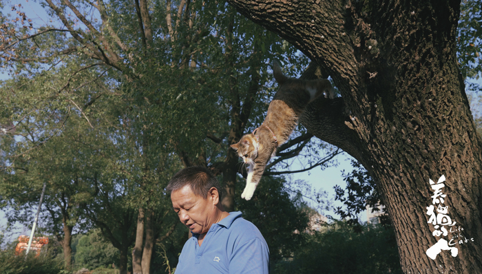 人类永远无法真正理解猫 | 一周新书推荐