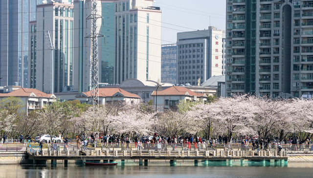 改革,国有企业,