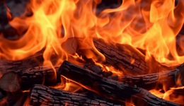 直通部委 | 去年90萬起火災致4666人傷亡 跨境賭博亂象得到有效遏制