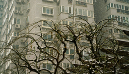 蛇年首個寒潮預(yù)警發(fā)布，華北黃淮部分地區(qū)降溫將達(dá)10℃以上