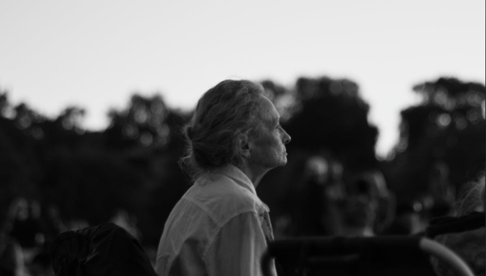 中老年人,网瘾,情绪价值,网文,短视频,