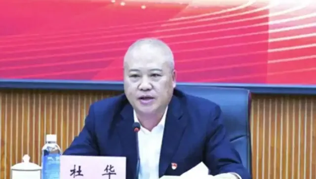 乐山大佛旅游投资开发集团董事长杜华被查