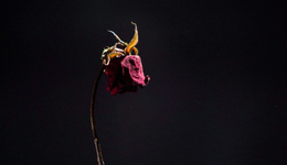 瀚川智能老板遭前妻凍結(jié)股份，離婚不披露涉嫌信披違規(guī)