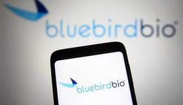 创新药明星坠落：蓝鸟“消失”的那一夜