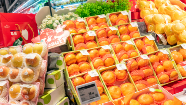 *ST人乐,年报,审计