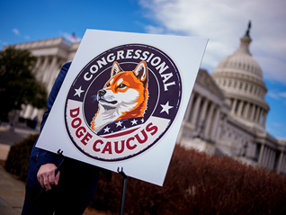 淡化马斯克角色，白宫确认政府效率部主管是她