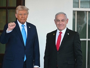 与以总理日光浴、马斯克撒钱：特朗普发加沙未来AI视频惹众怒