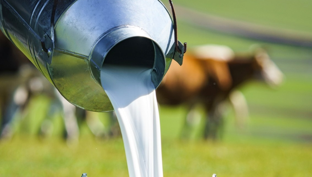 从一棵草、一杯奶到一代人，伊利如何助力乡村全面振兴？