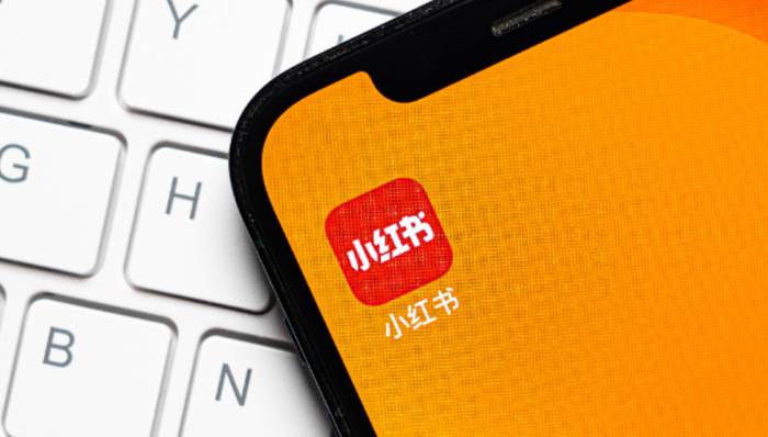 营收,小红书,医美,流量,