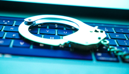 直通部委 | 中緬泰遣返中國籍涉詐嫌犯620余名 大熊貓野外種群增至近1900只