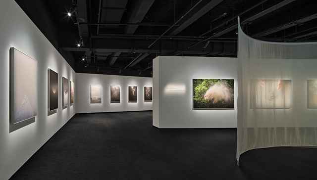 德国高仪上新家用波蓝Fizz气泡机，徕卡推出SOFORT 2 Burton特别版相机 | 一周有品指南