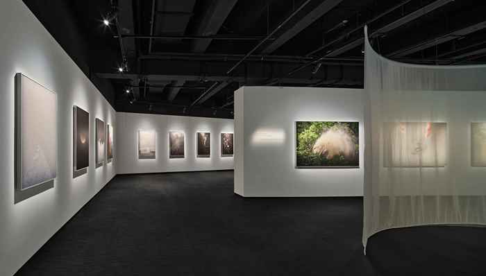 德国高仪上新家用波蓝Fizz气泡机，徕卡推出SOFORT 2 Burton特别版相机 | 一周有品指南