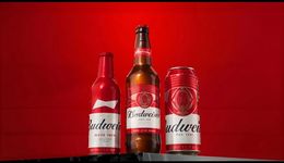 百威亚太“换帅”，重塑中国区业务？