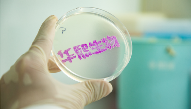 华熙生物组织变革进行时：短期压力下的长期战略博弈