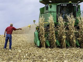 美国农业协会抗议：关税“玩不起”，农民很痛苦