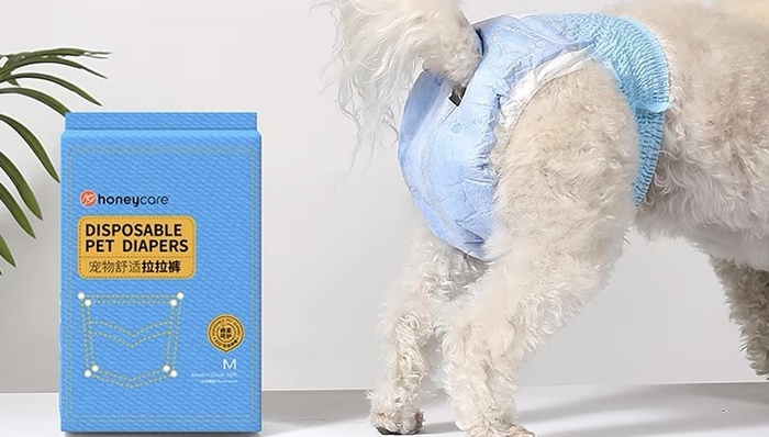 卖宠物纸尿裤的悠派科技要上市，但这个赛道还太小众