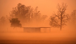 中央气象台升级发布沙尘暴黄色预警，北方13省份将有扬沙或浮尘
