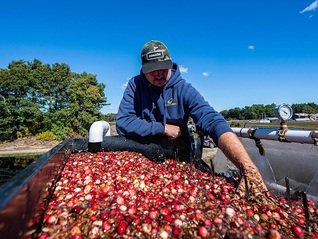 特朗普乱挥“关税大棒”让共和党人紧张：我们的选区要遭殃