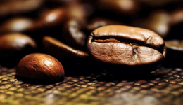 2025，咖啡赛道有点“苦”