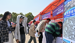 教育部部署“春季促就業(yè)攻堅(jiān)行動(dòng)”，開(kāi)展人工智能應(yīng)用賦能就業(yè)專項(xiàng)培訓(xùn)