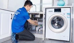 维修刺客啄木鸟，坑惨年轻人