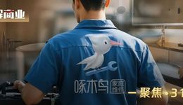 屡遭投诉、曝光，啄木鸟就是不改？ | 聚焦3·15