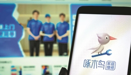 啄木鸟，没能成为维修行业的1%