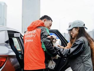 滴滴快送宠物专送：为宠物商家节省成本 扩大服务范围