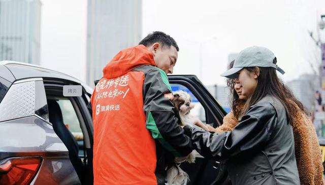 滴滴快送宠物专送：为宠物商家节省成本 扩大服务范围