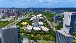 多地开启“抢人”大战，这一省五年内要培养引进万名青年科技人才