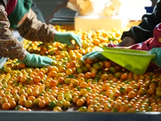 拼多多营收增速放缓背后：高质量发展成效初显，或再投千亿加码商家扶持