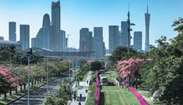 广州海珠：老牌工业区转身“垂直大模型之都”