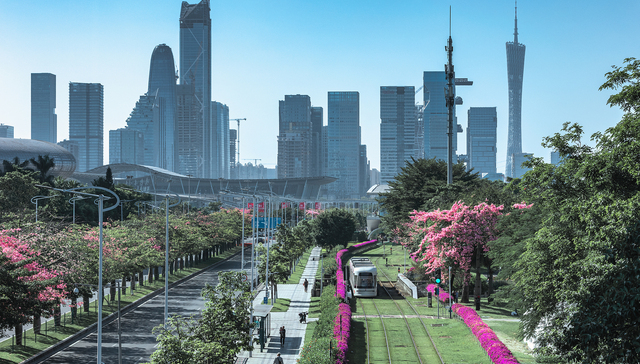 广州海珠：老牌工业区转身“垂直大模型之都”