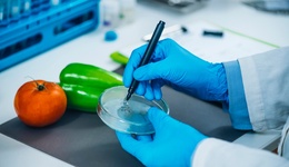 食品安全50項(xiàng)國標(biāo)發(fā)布，預(yù)包裝食品不允許再使用“零添加”等用語