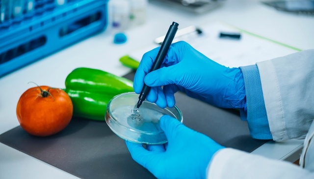 食品安全50项国标发布，预包装食品不允许再使用“零添加”等用语