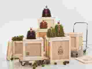 雅趣匠心，軒尼詩百樂廷與LOEWE羅意威發(fā)布聯(lián)名限量版干邑 | 發(fā)現(xiàn)新釀