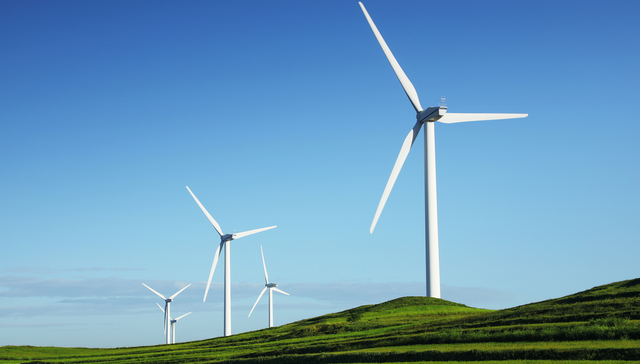 净利同比增速创九年新高，风电老大金风科技业绩“回春”