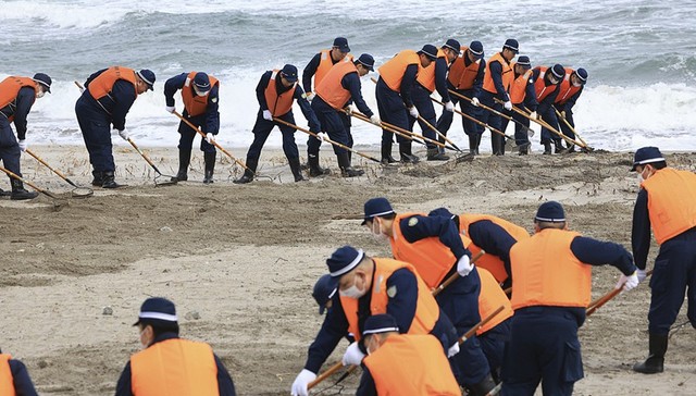 日本,地震,南海海槽,海啸